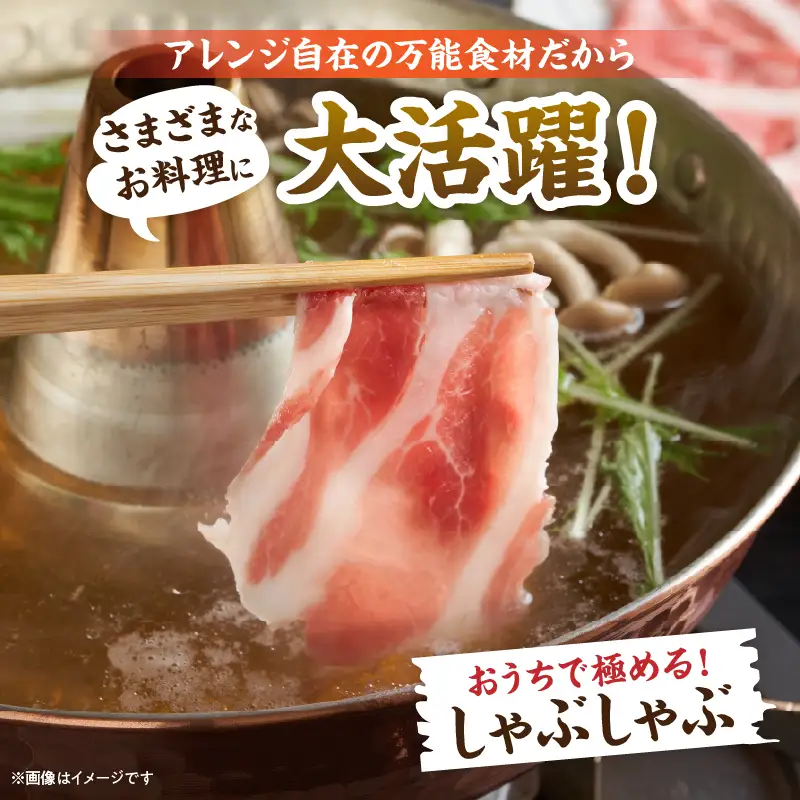 豚肉 鶏肉 食べ比べ セット 合計5kg 国産 食品 しゃぶしゃぶ 焼肉 BBQ とんかつ 切り落とし 豚ロース 豚バラ 鶏モモ からあげ 生姜焼き 小分け バラエティ 人気 おすすめ おすそ分け おかず お弁当 晩ご飯 宮崎県 日南市 送料無料_DC32-25