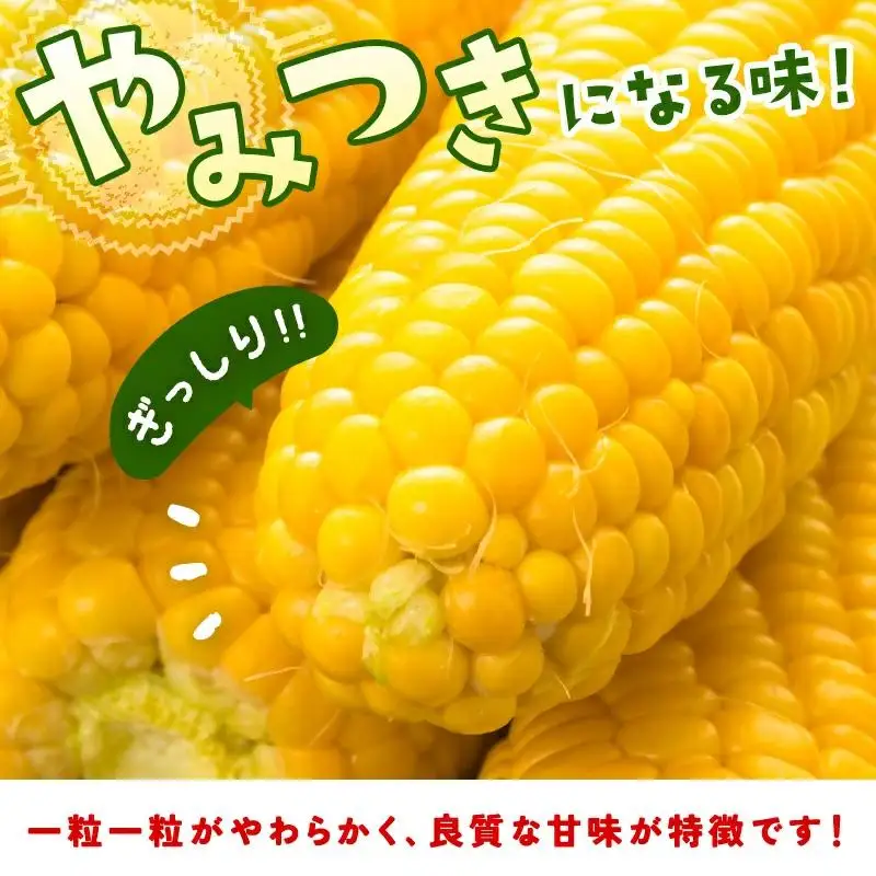 【先行予約】スイートコーン『ゴールドラッシュ』約7kg（18～22本） 西都市産とうもろこし＜18-2a＞★