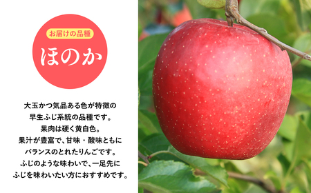 【レビューキャンペーン】2026年産10月発送　贈答用ほのか3ｋｇ　【そと川りんご園・9月・青森県産・平川市・りんご・ほのか・3ｋｇ・贈答用】りんご リンゴ 林檎 りんご 青森 平川市産 [hi-0053-014]