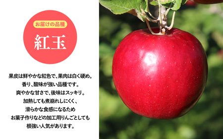 【レビューキャンペーン】2026年産１０月発送　【訳あり】家庭用紅玉3ｋｇ　【そと川りんご園・１０月・青森県産・平川市・りんご・紅玉・3ｋｇ・訳あり・家庭用】りんご リンゴ 林檎 りんご 青森 平川市産 [hi-0053-035]