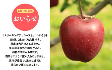 【レビューキャンペーン】2026年産１０月・１１月発送　【訳あり】家庭用おいらせ5ｋｇ　【そと川りんご園・１０月・１１月・青森県産・平川市・りんご・おいらせ・5ｋｇ・訳あり・家庭用】りんご リンゴ 林檎 りんご 青森 平川市産 [hi-0053-042]