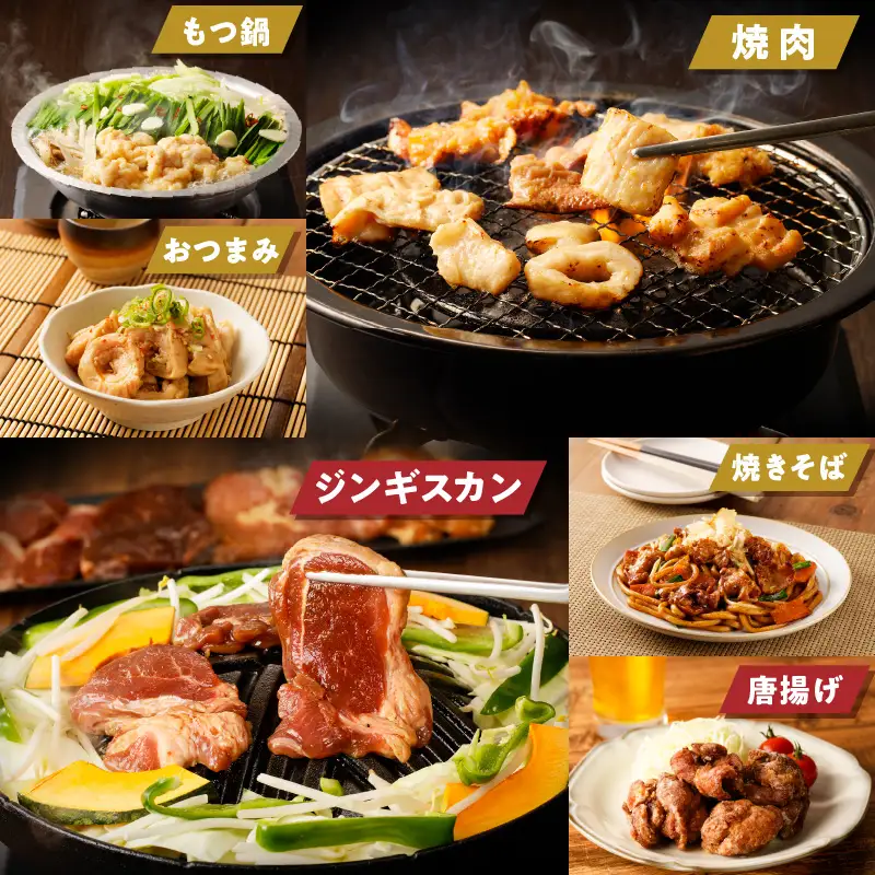 【全5回定期便】厚切り ラムジンギスカン ＋ ホルモン 食べ比べ 6種セット T025-T02 肉