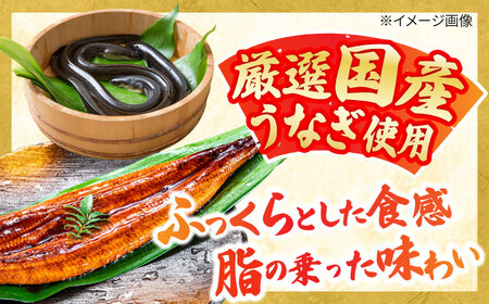 一力 うなぎ志ぐれセット / 鰻 うなぎ 国産 しぐれ煮 ご飯のお供 おかず / 亀山市 / 株式会社安全 [AMAW003]