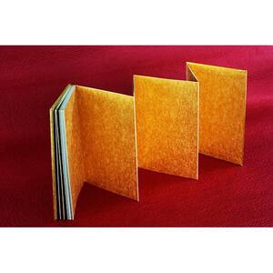 金の御朱印帳（ケース入）｜野洲市 伝統工芸 日本製 手作り 御朱印帳 和紙製 高品質 手触り 上質 紙製品 神社仏閣巡り 記念品 ギフト｜