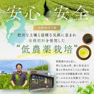 野洲生まれ　野洲育ち自家栽培　一番摘み煎茶120g　5本セット