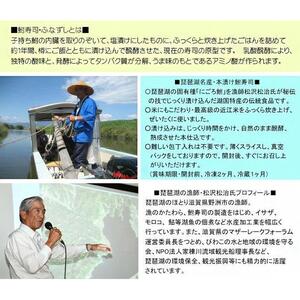 近江名産「鮒寿司」ふなずし 漁師直漬け　1本入り｜野洲市 伝統製法 発酵食品 滋賀県 特産品 寿司 漁師の手作り 風味豊かな 魚介 日本食 和食 発酵食品 地元食材 お取り寄せ 通販 ふるさと納税｜
