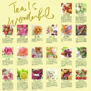 ムレスナティー 40種の人気ブレンドコレクション 贈り物にも最適！｜野洲市 ムレスナティー 紅茶 アソート セット フレーバーティー 香り豊か ティータイム 贈答用 ギフト プレゼント お取り寄せ 通販 ふるさと納税｜