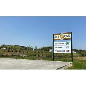 近江牛 澤井牧場 サイコロステーキ 500ｇ