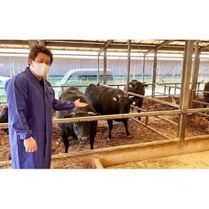 近江牛 澤井牧場 すき・しゃぶ用（霜降） 800ｇ