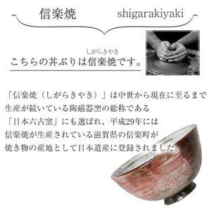 信楽焼 桃花丼ぶり 陶器