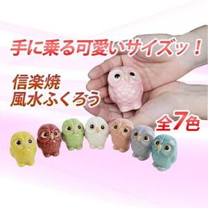 信楽焼 ミニ風水ふくろう7色セット 置物 陶器