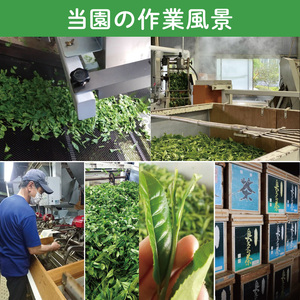 【農林水産大臣賞受賞】かねた園の奥久慈茶 特上煎茶・特上深むし茶セット 計300g（150g缶×各1本）（CK004）