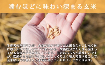 10月下旬発送 自然栽培米 角田玄米 ななつぼし 5kg 新米 無施肥【カクタファーム】 [AXAR001]