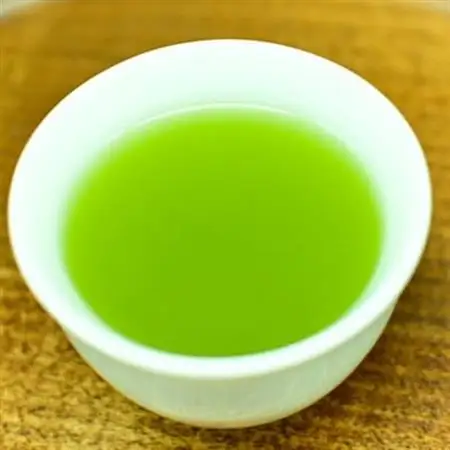 【訳あり】茶審査技術八段・大井丈司監修 深蒸し掛川茶一番茶60g×15袋【配送不可地域：離島・沖縄県】【1119946】