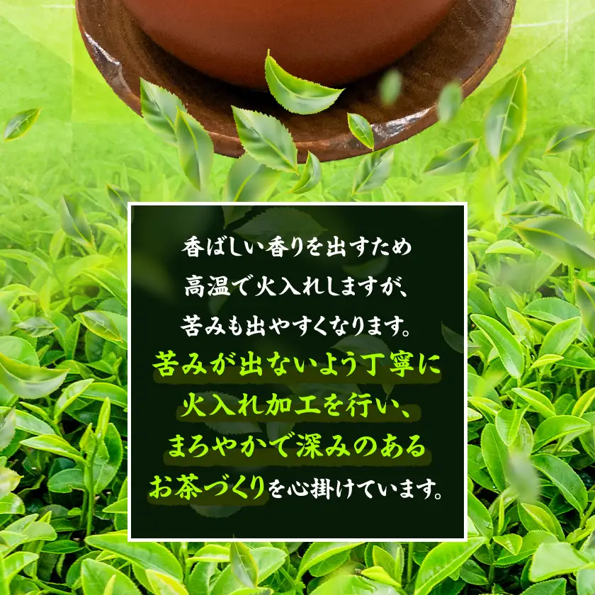 【新茶先行受付】【訳あり】深蒸し掛川茶100g×10袋(計1kg) 訳ありは袋だけ!静岡が誇る日本茶【配送不可地域：離島・沖縄県】【1108689】