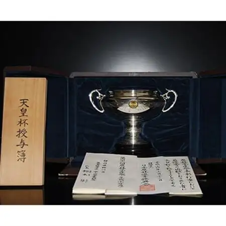 【2026年先行予約】新茶　天皇杯受賞茶園栽培のプレミアム茶100g×5袋【配送不可地域：離島・沖縄県】【1551501】