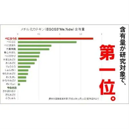 べにふうき緑茶(メチル化カテキン)ティーバッグ5g・10個入り×5袋 静岡県掛川産の深蒸し製法掛川茶【配送不可地域：離島・沖縄県】【1365371】