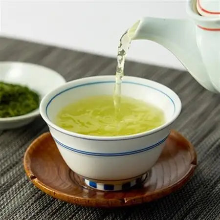 自然栽培茶(化学肥料・農薬未使用)深蒸し掛川茶100g×3袋【配送不可地域：離島・沖縄県】【1091798】