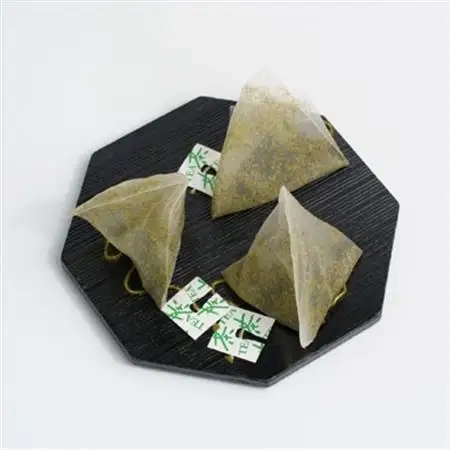 【訳あり】エコ袋 緑茶 ティーバッグ ひも付 2g50入2袋 深蒸し掛川茶 静岡県掛川産 一番茶【配送不可地域：離島・沖縄県】【1309603】