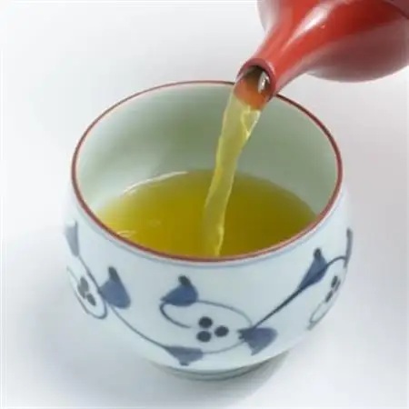 荒仕上茶(茶農家飲み茶)静岡・深蒸し掛川茶200g×4袋(800g)セット【配送不可地域：離島・沖縄県】【1091797】