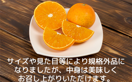 【訳あり・規格外】九州のオレンジ「ハウス天草」約3～3.3kg【オレンジ農園】 2026年 12月 冬 発送 甘い 果物 とろける フルーツ 柑橘 オレンジ みかん 先行予約 数量限定 期間限定 九州 ＜114-003＞