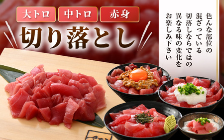 【訳あり】国産 生本まぐろ 切落し 200g（冷蔵）【大トロ 中トロ トロ 赤身 食べ比べ 海鮮 刺身 冷蔵 不揃い お取り寄せ グルメ】 [e04-a114]