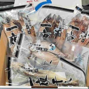 旭川一夜干しセット　４種枚入り_04191