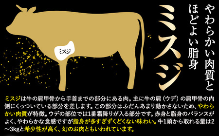 希少部位 博多和牛ミスジ ステーキ 500g 株式会社MEAT PLUS《30日以内に出荷予定(土日祝除く)》福岡県 鞍手郡 小竹町 博多和牛 和牛 牛肉 ステーキ肉 肉 牛 真空パック 個包装