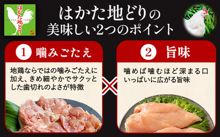 はかた 地どり 炭火焼 セット 500g 株式会社MEAT PLUS《30日以内に出荷予定(土日祝除く)》福岡県 鞍手郡 小竹町 地鶏 はかた地どり 焼き鳥 おかず 惣菜 鶏 鶏肉
