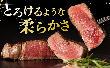 長崎和牛 シャトーブリアン 約150g×2枚 計300g以上 / 牛肉 肉 牛 和牛 国産牛 ステーキ[RCI051] シャトーブリアン シャトーブリアン シャトーブリアン シャトーブリアン九州 長崎