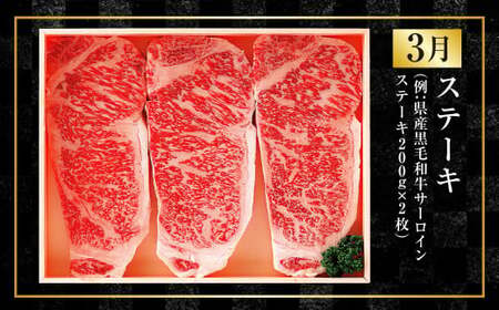【年4回定期便】くまもと肉の極み定期便① 黒毛和牛 和牛 定期便 熊本県産 肉 お肉 牛肉 牛 国産