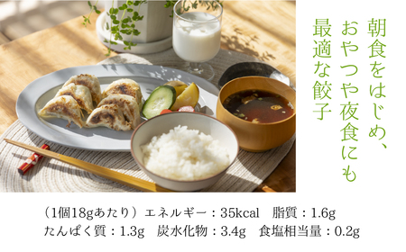 朝専用餃子 岐阜モーニング 餃子 40個入 朝食 ぎょうざ ギョウザ 岐阜県産 こだわり ヘルシー 高タンパク 低カロリー ニンニク ニラ 不使用 の餃子 ラーメン店 の サイドメニュー 惣菜 人気 おすすめ 本巣市発 岐阜夢餃子製作所 [mt1579]