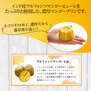 濃厚マンゴープリン 85g×24個 手土産 おやつ デザート スイーツ こだわり 南国 トロピカル フルーツ 果物 F21K-064