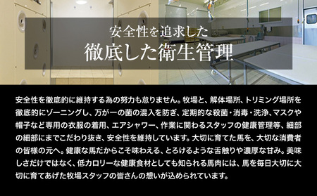 【6ヶ月定期便】赤身馬刺し400g 【純国産熊本肥育】 馬刺し《お申込み翌月から出荷》