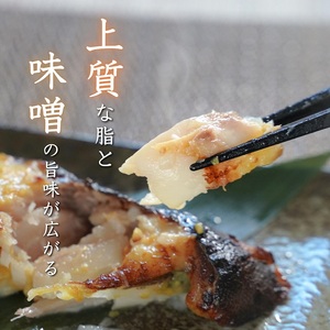a36-011　【定期便3回】銀鱈西京漬け 約80g×10切れ