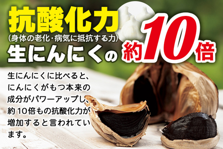白神フルーツ黒にんにくセットＣ（バラ粒 100g×3袋）秋田県産 熟成 小分け 詰合せ 詰め合わせ 健康 美容 黒ニンニク