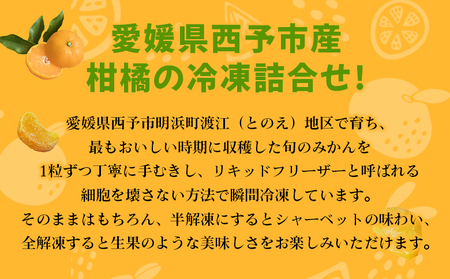 ＜【訳あり】冷凍みきゃんセット みきゃん盛り（皮無し10個）＞ ミカン 温州みかん 柑橘 果物 フルーツ デザート 詰合せ 特産品 渡江から一歩を踏み出す会 食べて応援 愛媛県 西予市【冷凍】『2026年5月から順次出荷予定』ATI0034