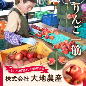 《先行受付》【2027年1月発送予定】 サンふじ約5kg・秀品【大江町産・山形りんご・大地農産】 028-026