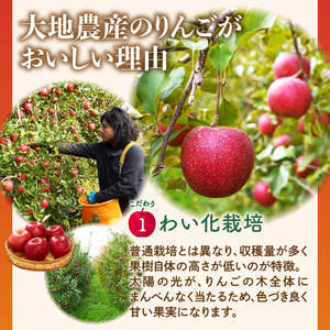 《先行受付》【2027年1月発送予定】 最高級 特選大玉サンふじ約3kg 【大江町産・山形りんご・大地農産】 028-027