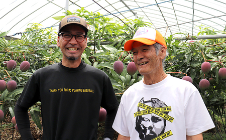 マンゴー【2026年発送】久米島熱帯果樹園「特選」極上完熟マンゴー1玉（450g以上）糖度15度以上 アーウィン