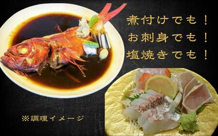 生 キンメダイ  2尾 （1尾700g～800g）
