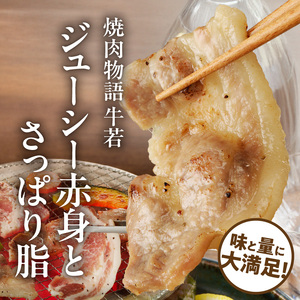 函館市 焼肉物語牛若 味付け白老豚（塩だれ）625g 焼肉 豚肉 白老豚 味付け 塩だれ パーティー 豚丼 ご飯 北海道 函館市 ふるさと納税 お取り寄せ ふるさと納税_HD048-014