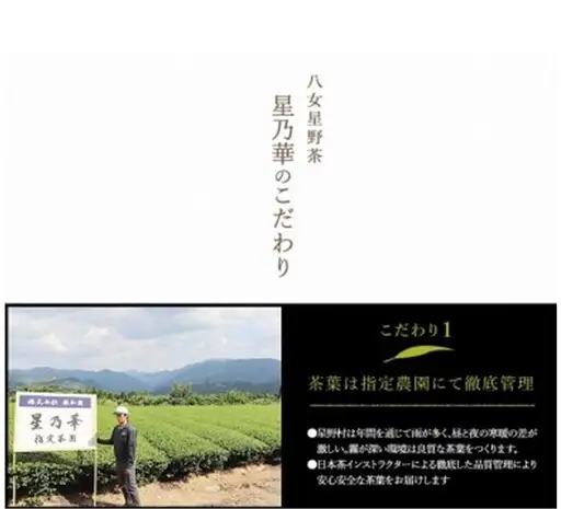 八女星野茶 星乃憩 煎茶120g×1 深蒸し茶120g×1【C-132】