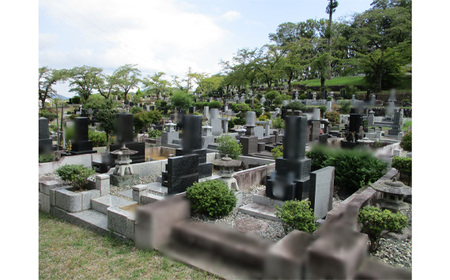 【5種墓地限定】墓地の除草（秩父聖地公園内の区画墓地） No.487