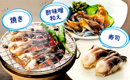 【天然】肉厚とり貝お刺身 とり貝【特大9枚入り】3セット 岬だより