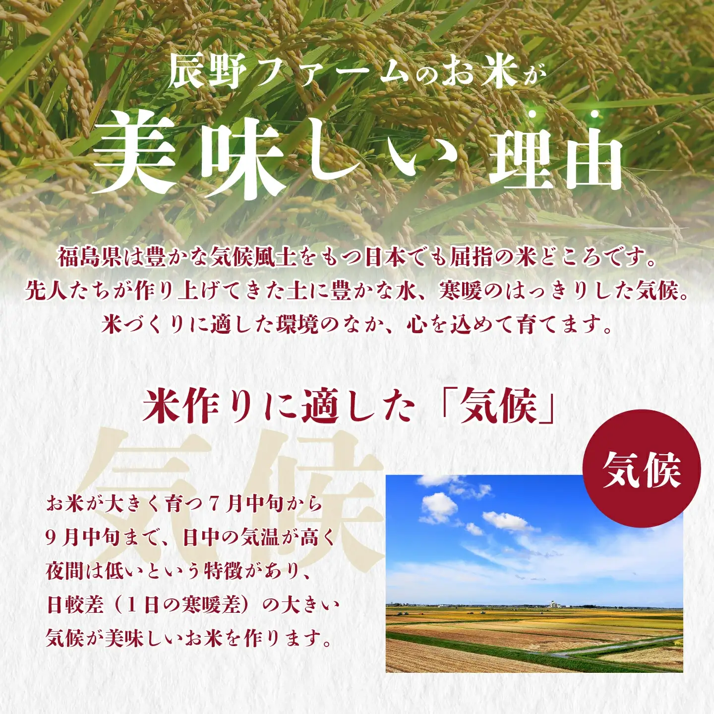 令和7年産 特別栽培米「福 笑い」 5kg 白米 福島県トップブランド米 美米郷会津柴城米【07208-0440】