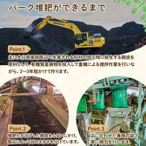 はつか大根栽培キット 甘日大根 二十日大根 家庭菜園 庭 ベランダ 手軽 栽培野菜 大分県 佐伯市 【HD237】【さいき本舗 城下堂】