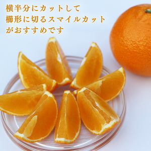 【先行予約 2026年11月下旬より順次発送】 あいか 3kg 贈答用 みかん 【訳あり】名前だけが訳あり | みかん愛媛 松山 フルーツ 果物 くだもの 3キロ 数量限定 期間限定 送料無料 柑橘 みかん フルーツ 果物 みかん ランキング 【MM0033】