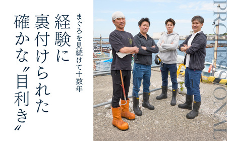 【 入金確認後、7営業日以内に発送予定 または 配送月が選べる 】復活！当店 人気 ！20人前！ 天然 三崎まぐろ 赤身 切落し 2kg （500g×4袋） M020-014-02 冷凍 マグロ 【 まぐろ専門の卸問屋です 】