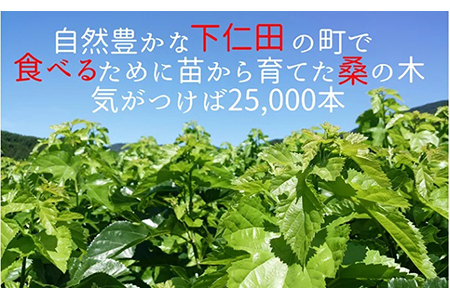 【有機 桑の葉まっ茶】ノンカフェイン プレママ 糖質制限 食物繊維 ダイエット 飲料 オーガニック ハーブティー マルベリー F21K-027